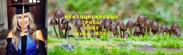 кокаин Богданович