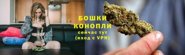 тгк Богородицк