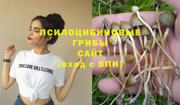 тгк Богородицк