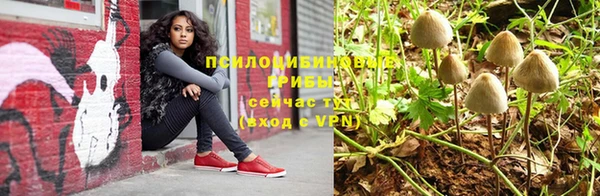 кокаин Богданович