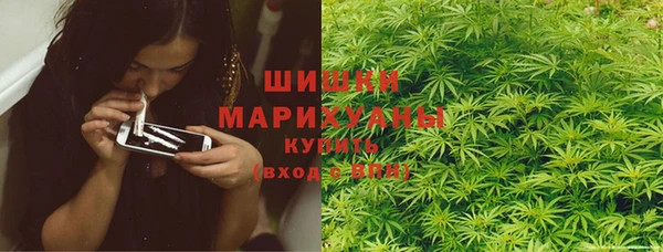 тгк Богородицк