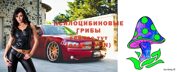 кокаин Богданович