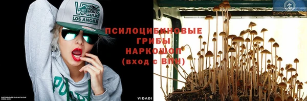 кокаин Богданович