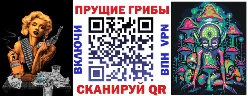 Галлюциногенные грибы Psilocybine cubensis  закладка  Таганрог 